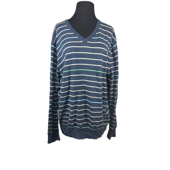 Gap Womens Size XL Blue Striped Vneck Pullover Sweater Jumper - Picture 1 of 7